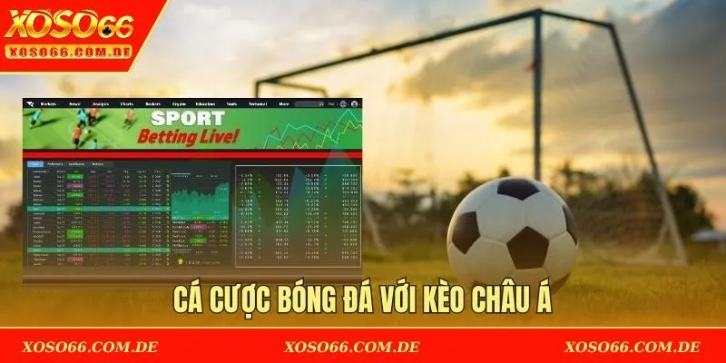 Cá cược bóng đá với kèo châu Á