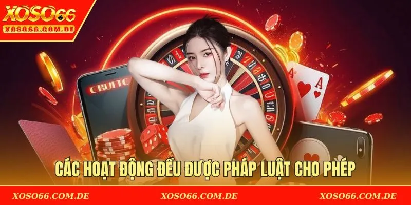 Các hoạt động diễn ra tại nền tảng đều được pháp luật cho phép