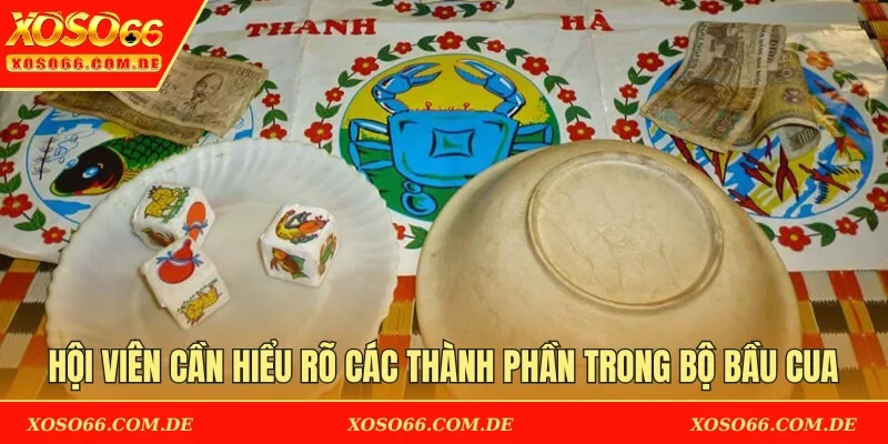 Hội viên cần hiểu rõ các thành phần trong bộ Bầu Cua