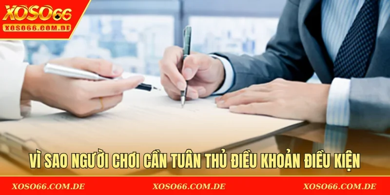 Vì sao người chơi cần tuân thủ điều khoản điều kiện
